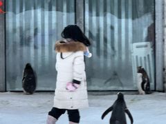 -长白山万达锦华套房酒店