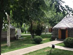 -九十九顶毡房(阜石路店)