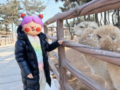 -西霞口神雕山野生动物世界
