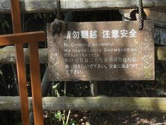 -三亚亚龙湾人间天堂鸟巢度假村