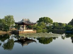 -无锡蠡湖国家湿地公园-蠡园