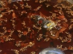 -味之绝热血美蛙鱼火锅(中坝店)