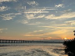 -宝安西湾红树林湿地公园