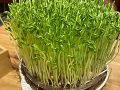 -好彩猪肚鸡(正弘城店)