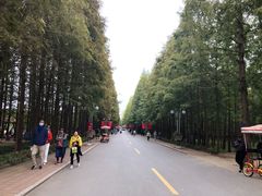 -日照海滨国家森林公园