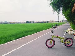 -崖口煲仔饭