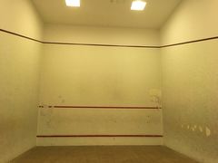 -健身专家Wellness Experts