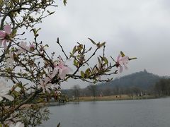 -上海辰山植物园