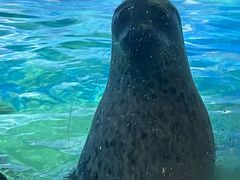 -太平洋海底世界