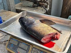 -姥家大锅台水库渔家