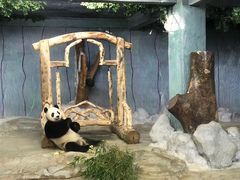 -海南热带野生动植物园