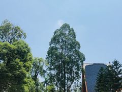 -美的鹭湖探索王国