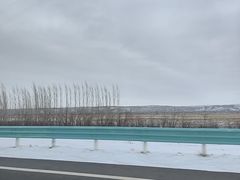 -尔力新疆丸子汤(北屯店)