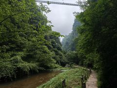 -碧峰峡风景区