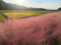 -东钱湖旅游度假区