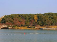 -昆山城市生态森林公园