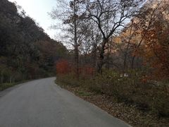 -大连天门山国家森林公园