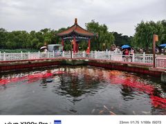 -长春市南湖公园