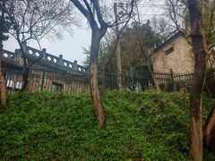 -紫金山天文台