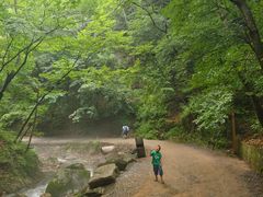-本溪汤沟绿石谷森林公园