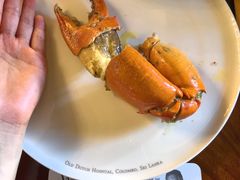 -Ministry of Crab(科伦坡店)