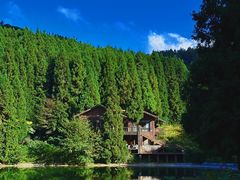 -武陵山森林公园