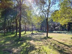 -区行政办公中心5号地块绿地-地下停车场