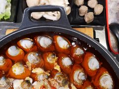 -水哥卜卜贝(东晓·胜汇里店)