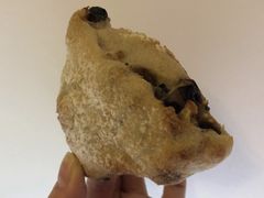 法式杂粮-面包与我Bread Or Me(长城汇店)