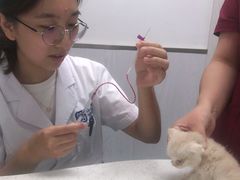 -宠颐生动物医院·小陆分院