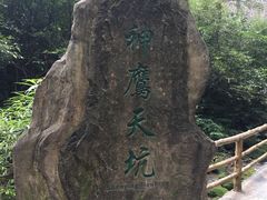 -重庆武隆天生三桥风景区-神鹰天坑