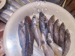 -福建美食城(老君堂店)