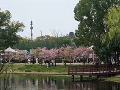 -新江湾城公园