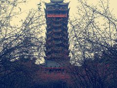 -塔子山公园
