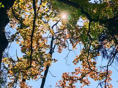 -东天目山风景区