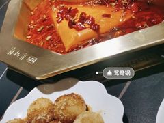 -蜀九香火锅(彩虹店)