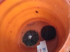 -蓝湾碧波·老字号·疍家非遗海上餐厅