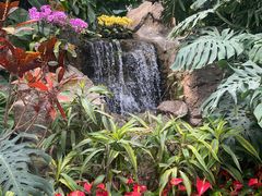 -郑州植物园