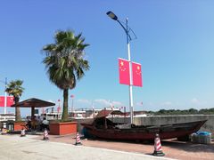 -大湾区中央湿地公园-十九涌