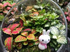 -KKV(深圳宏发大仟里店)