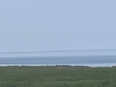 -奉贤海滩