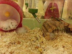 -龙猫仔乐园(惠福东路店)