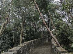 -东钱湖旅游度假区