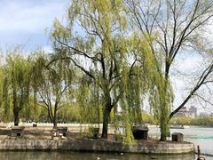 -莲花池公园