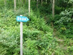 -妙峰山风景名胜区