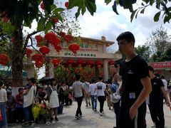 -广东茂名森林公园