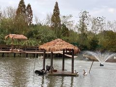 -溱湖国家湿地公园