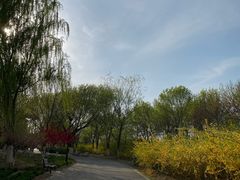 -永定河休闲森林公园