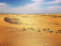 景点-恩格贝生态旅游区