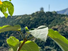 -香山公园